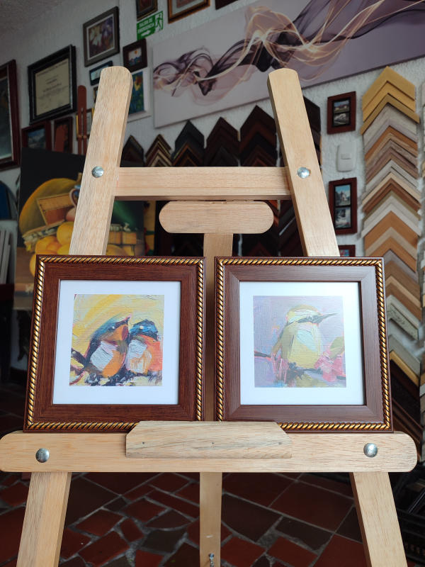 Pareja de cuadros de aves
